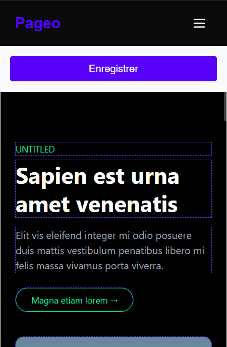 Aperçu de l'éditeur Pageo